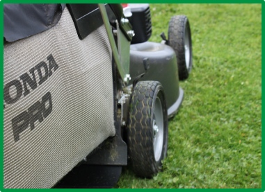 DM Cutting Hedge Lawn Mowing/Grass Cutting Redditch DM Cutting Hedge Lawn Mowing/Grass Cutting Redditch