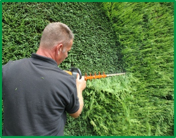 DM Cutting Hedge Hedge Cutting Redditch