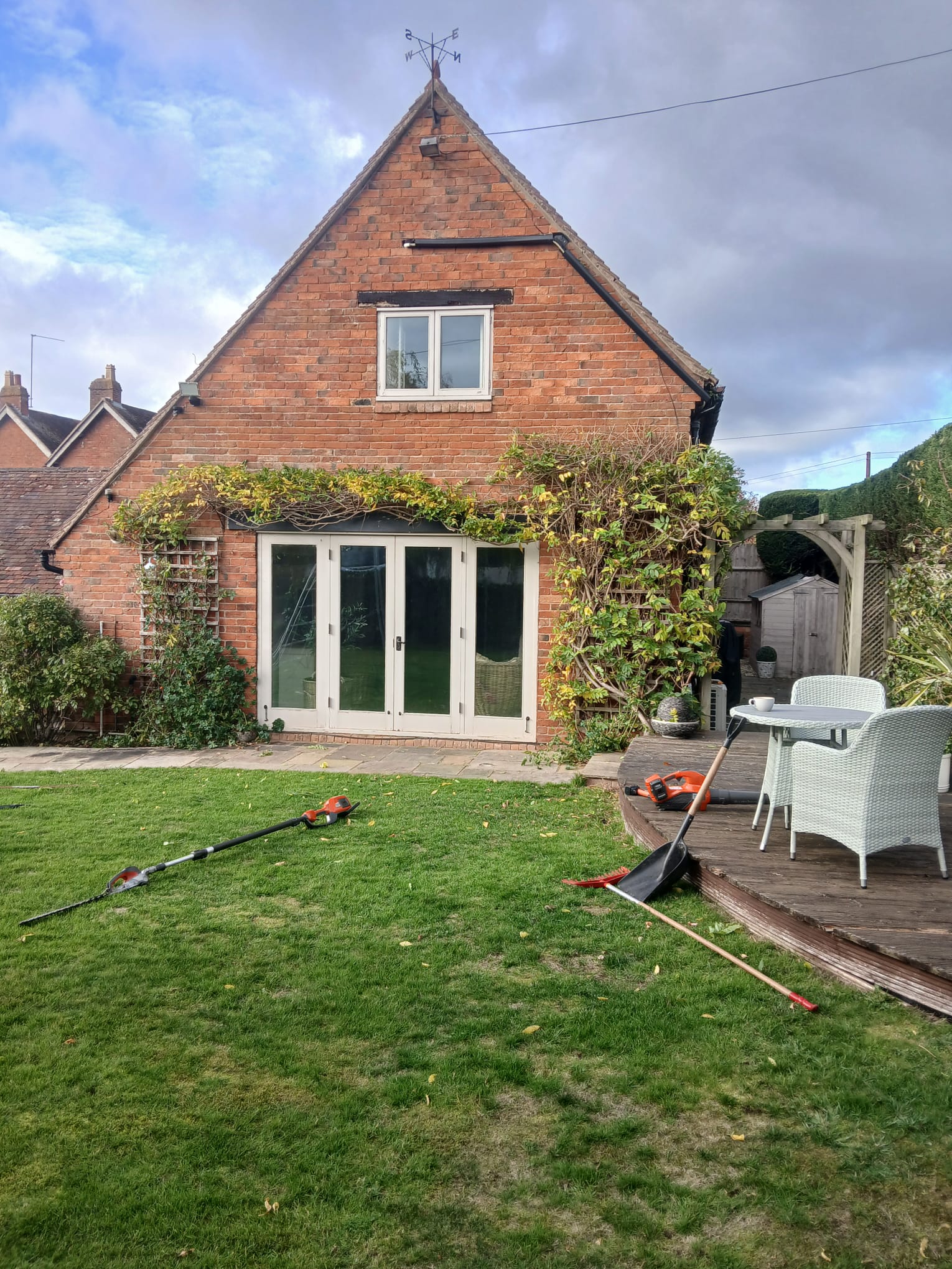 After climbing plants trimmed