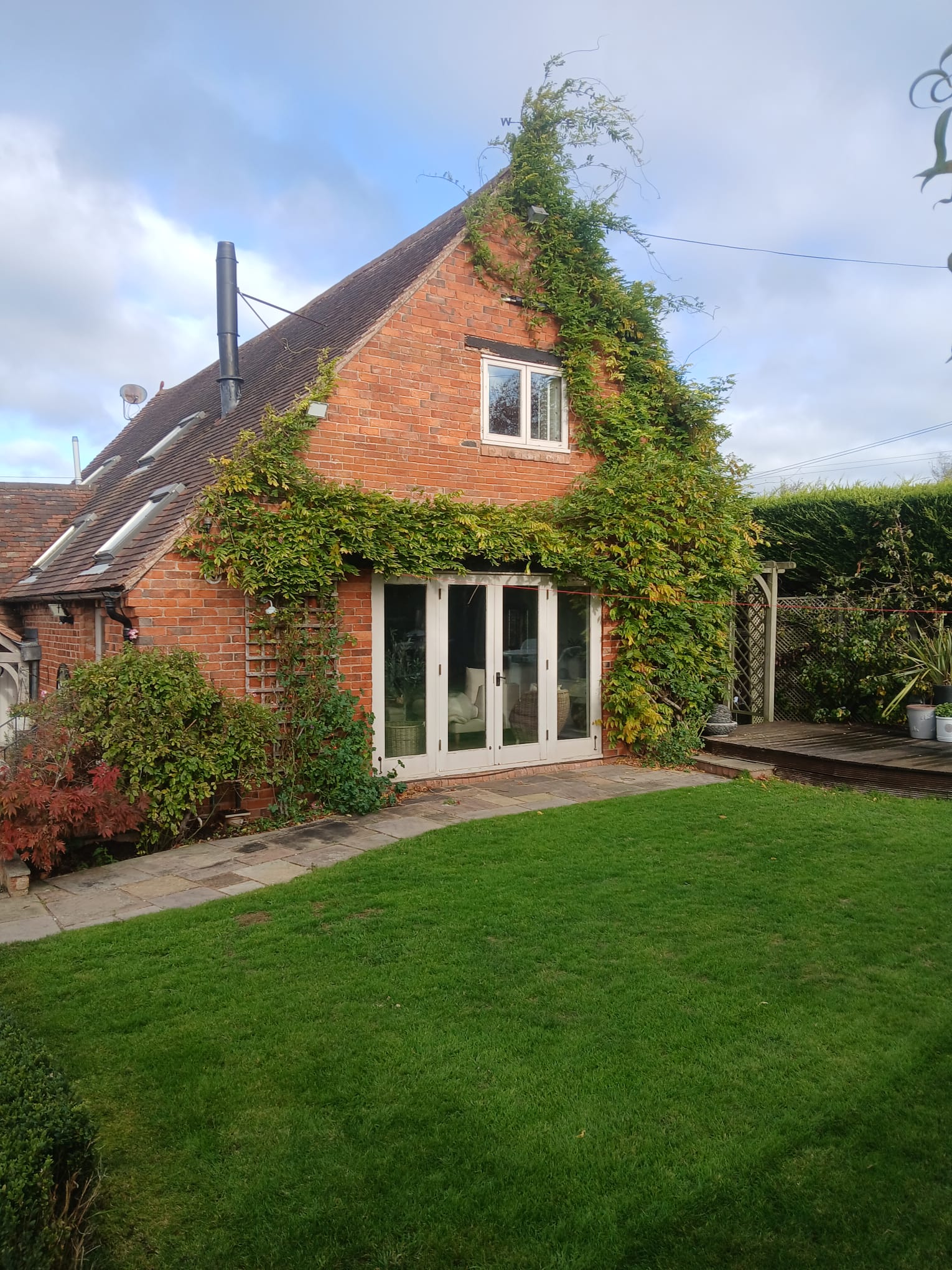 Before climbing plants trimmed