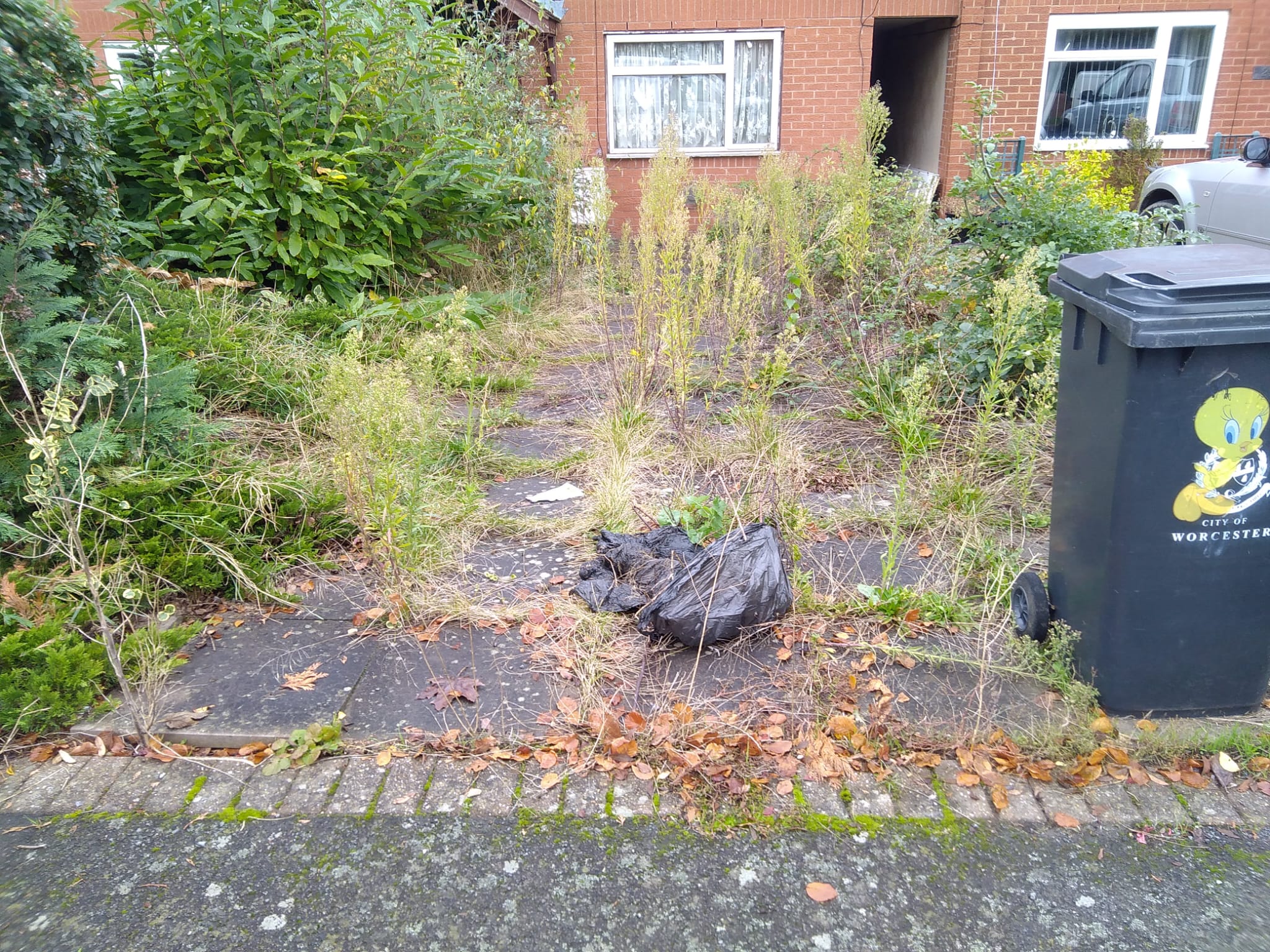 Before driveway cleared