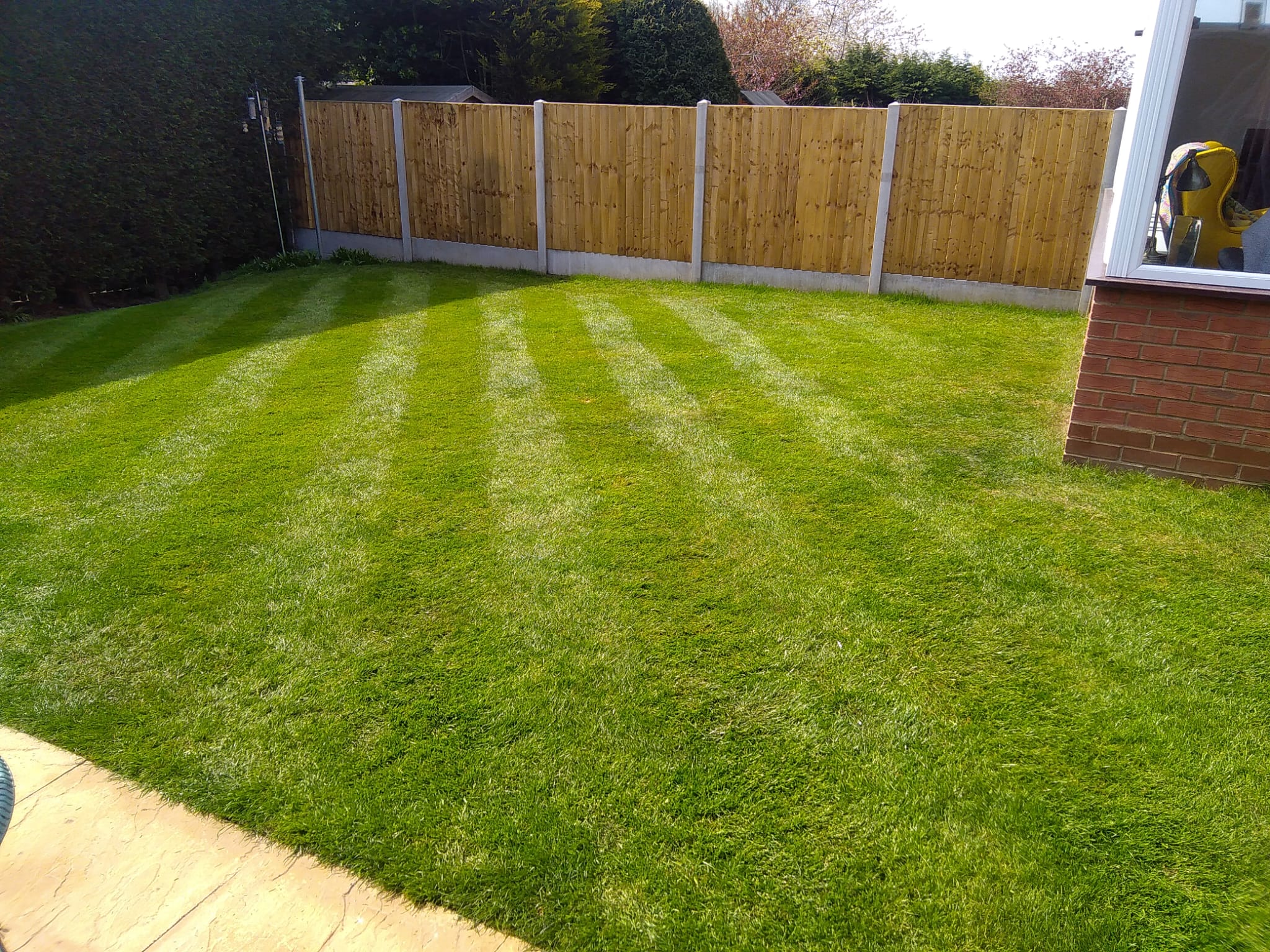 Mowed lawn