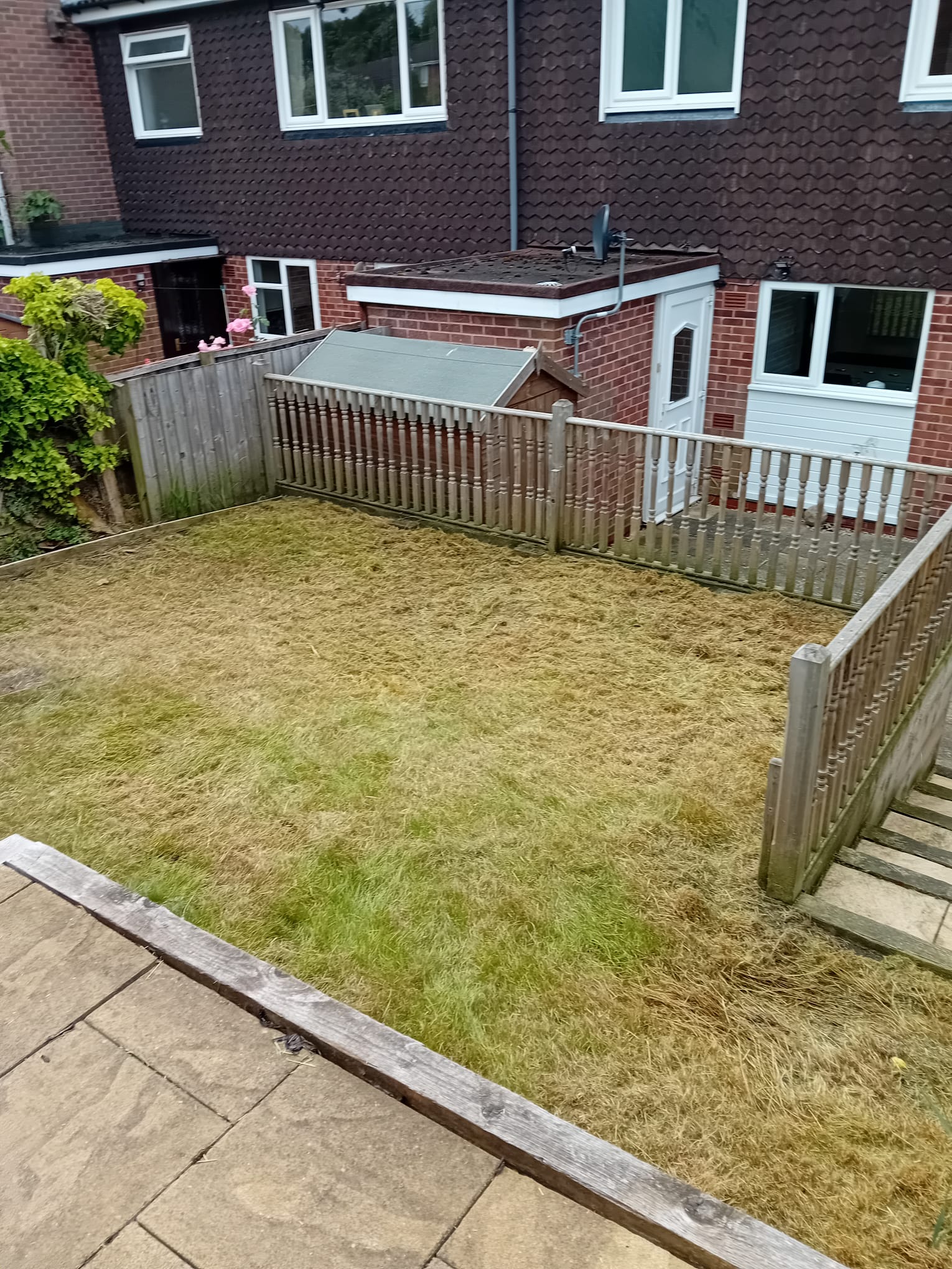 After cutting of long grass