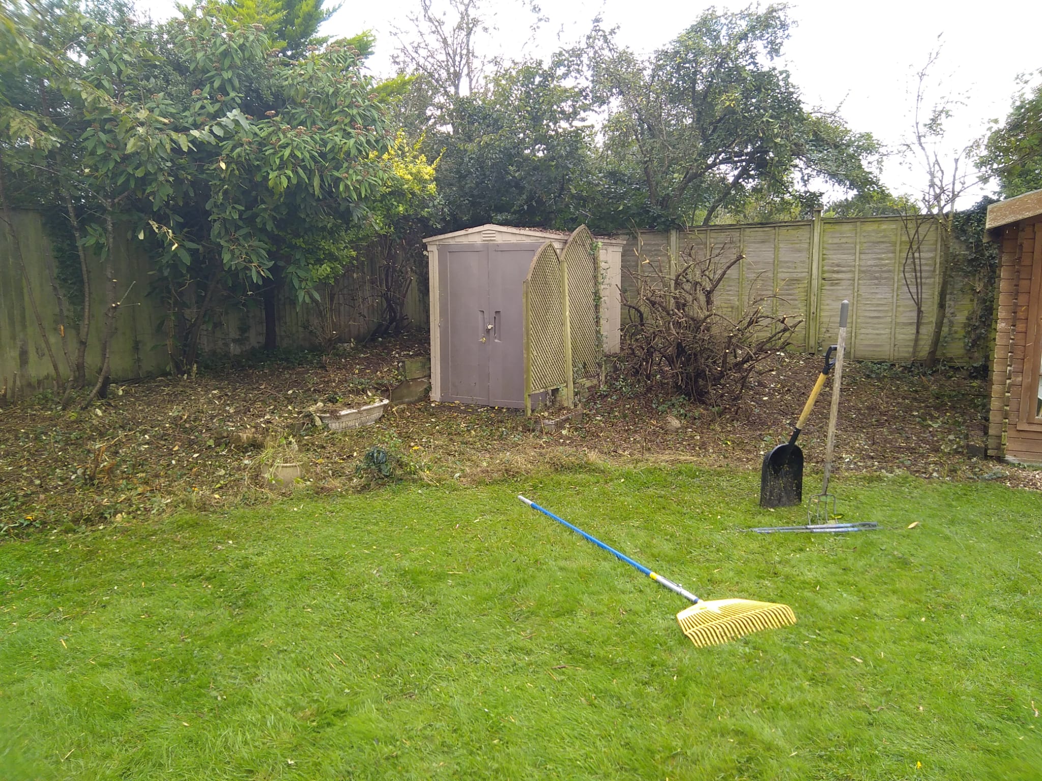 After removal of shrubbery and small trees